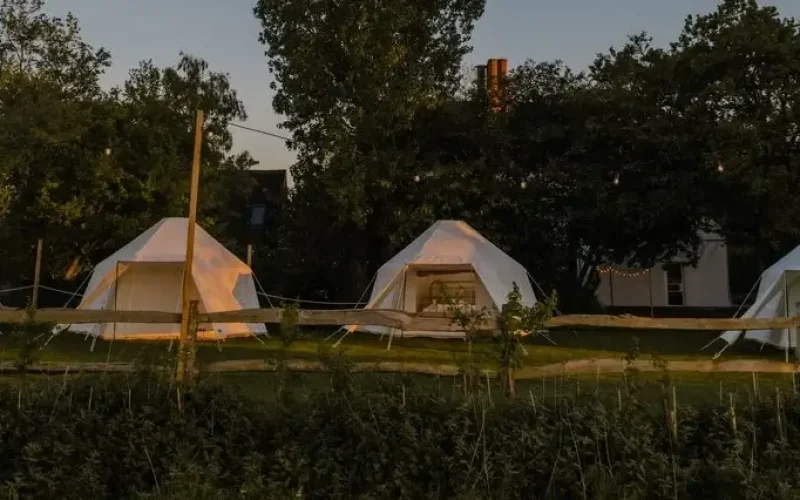 houchins-glamping-meadow cropped